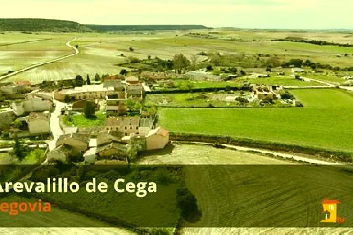 escort Arevalillo de Cega