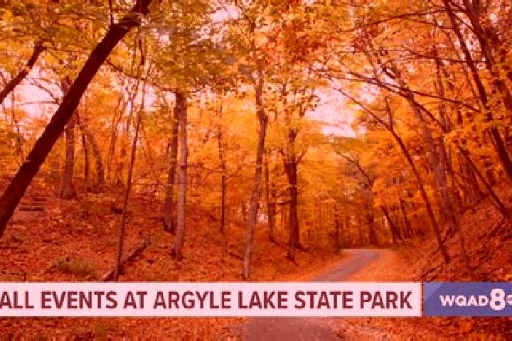 escort Argyle Park