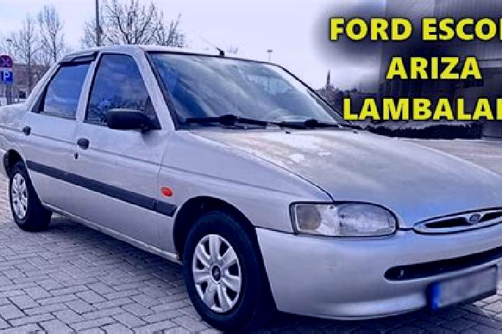 escort Ariza
