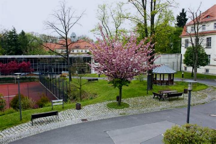 escort Arnsdorf
