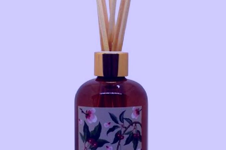 escort Aromas