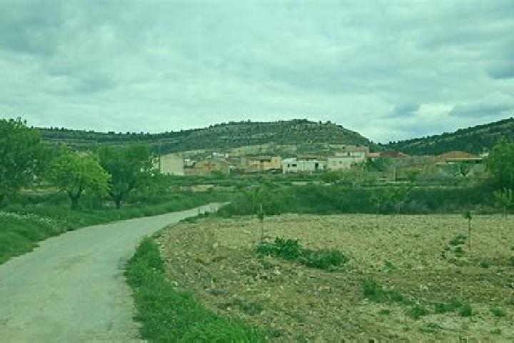 escort Arreguin de Arriba