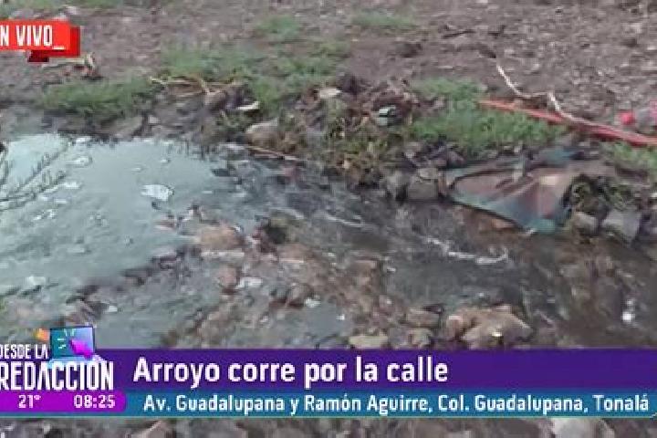 escort Arroyo de Enmedio