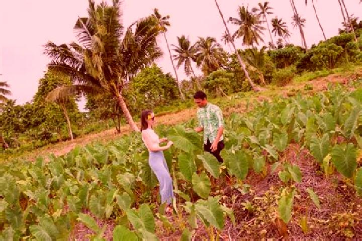 escort Asau Village