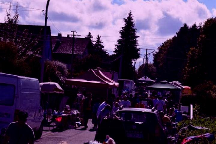 escort Aspach-le-Bas