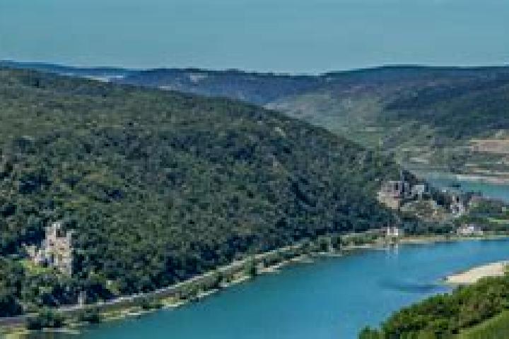 escort Assmannshausen