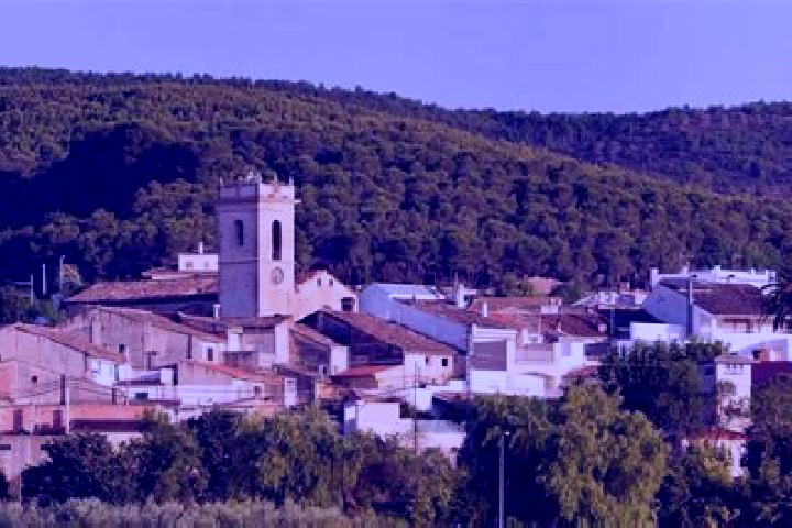 escort Atzeneta d Albaida