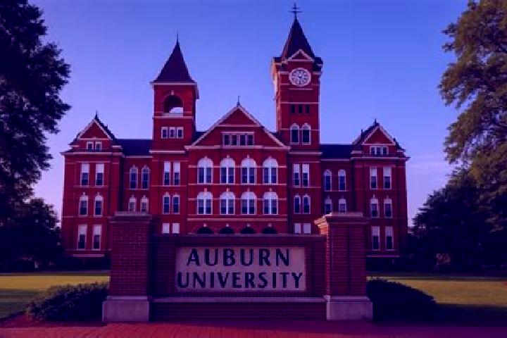 escort Auburn