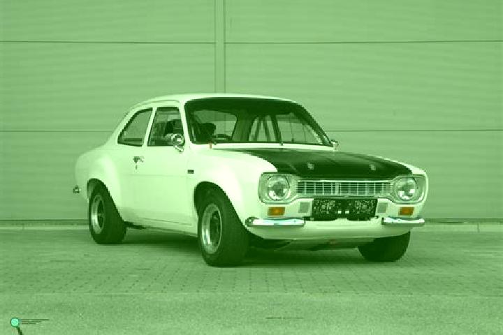 escort Avigdor