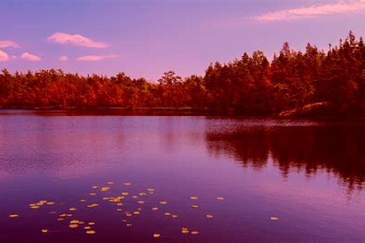 escort Avon Lake