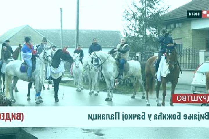 escort Backa Palanka