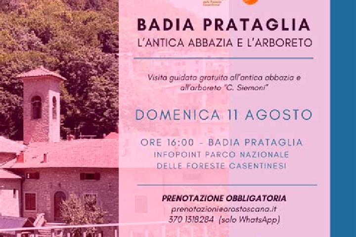 escort Badia Prataglia