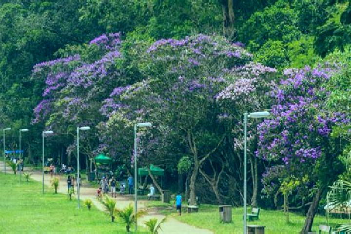 escort Bairro Parque Nossa Senhora do Carmo