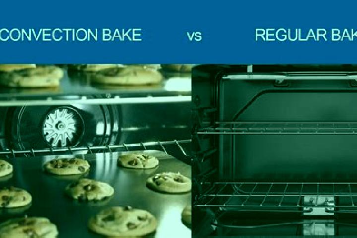 escort Bake