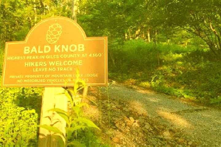 escort Bald Knob