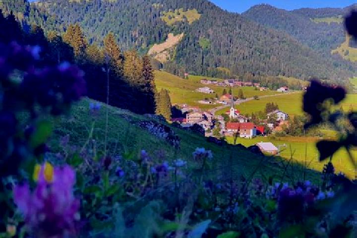 escort Balderschwang