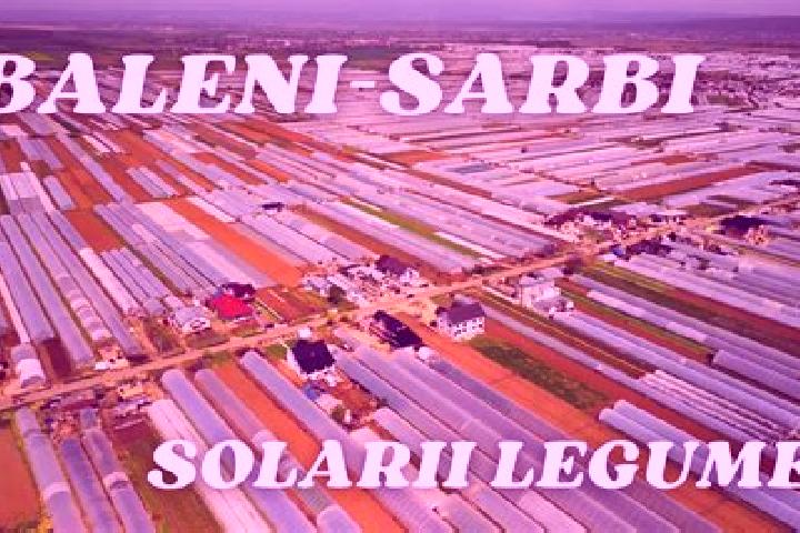 escort Baleni Sarbi
