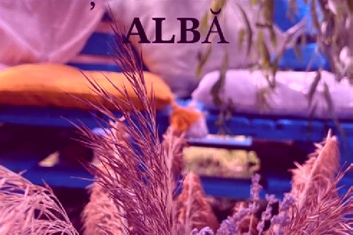 escort Balta Alba