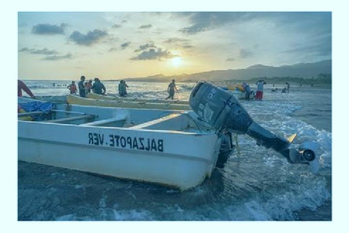 escort Balzapote