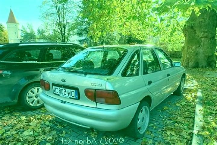 escort Banghai