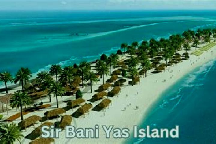 escort Bani Yas City