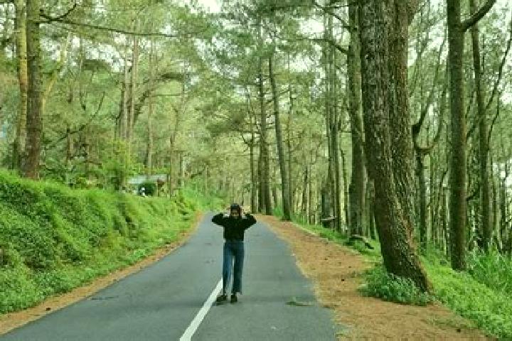 escort Banjar Manikliyu