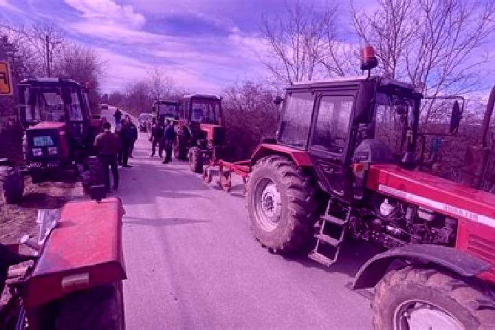 escort Banovo Polje
