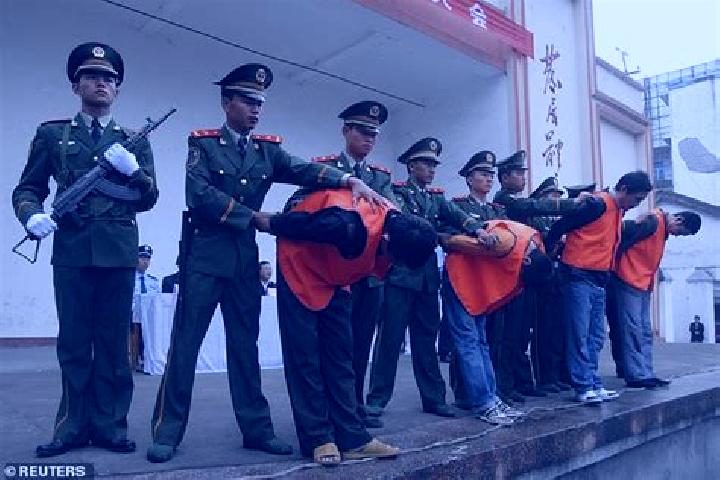escort Baokang Chengguanzhen