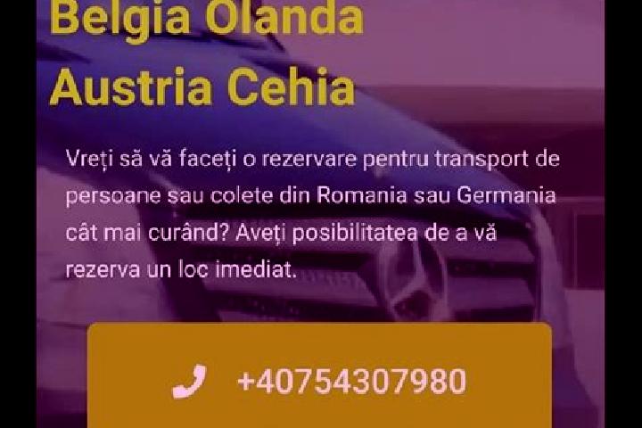 escort Barastii de Vede