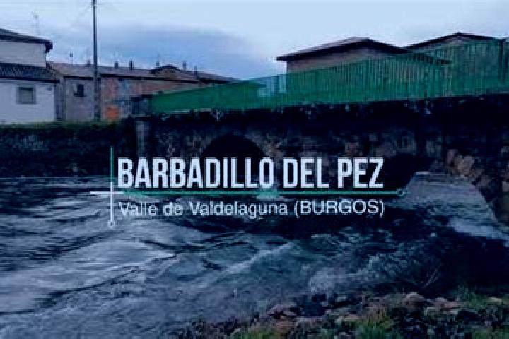 escort Barbadillo del Pez
