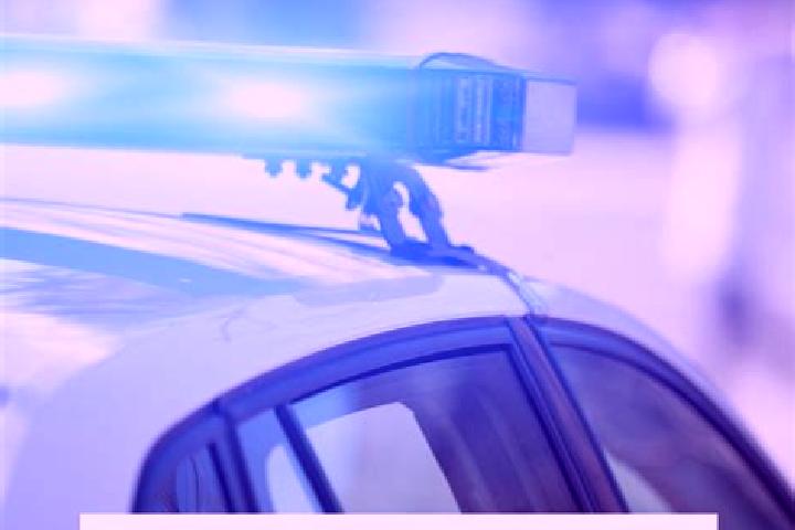 escort Bargersville