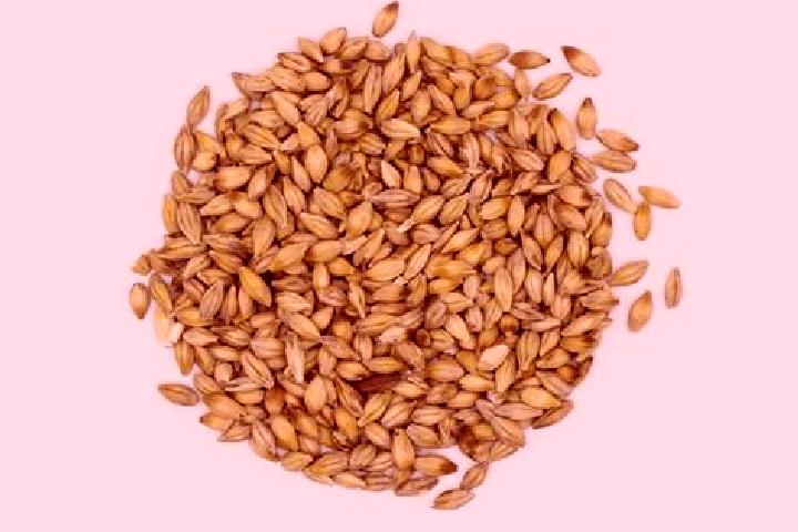 escort Barley