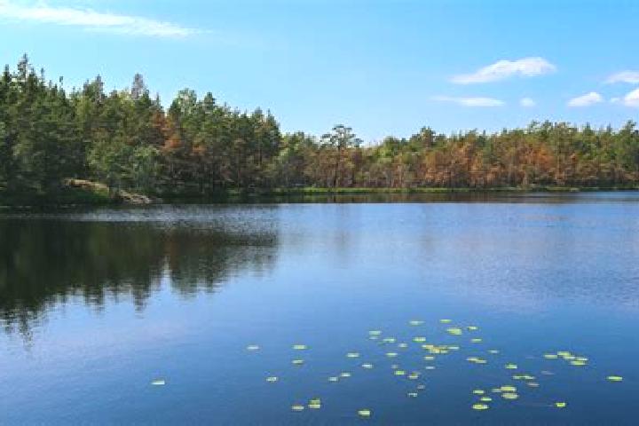 escort Barnes Lake-Millers Lake