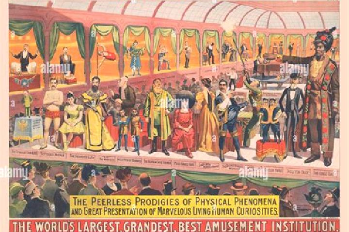 escort Barnum