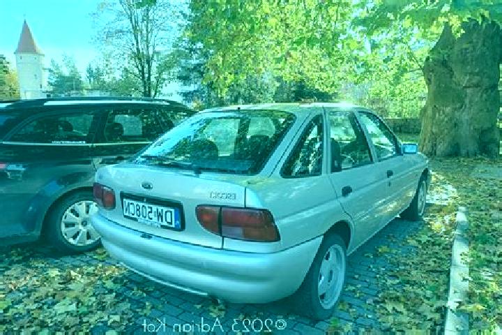 escort Barsebaeck