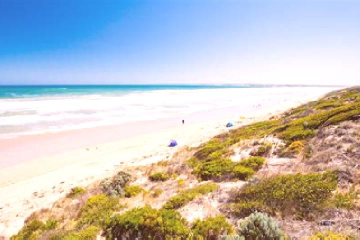escort Barwon Heads