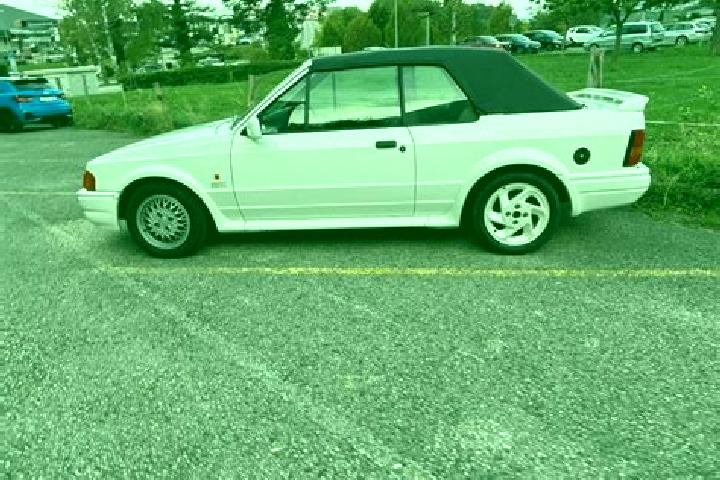 escort Bas-Vully