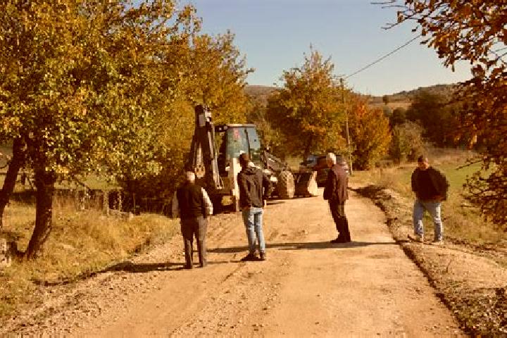 escort Basciftlik