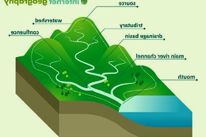 escort Basin