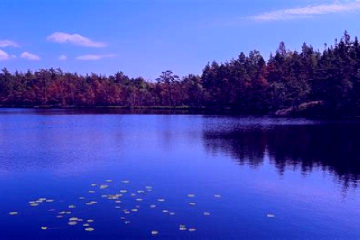 escort Bass Lake