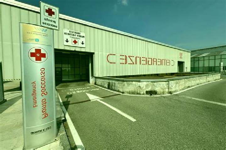escort Bassano