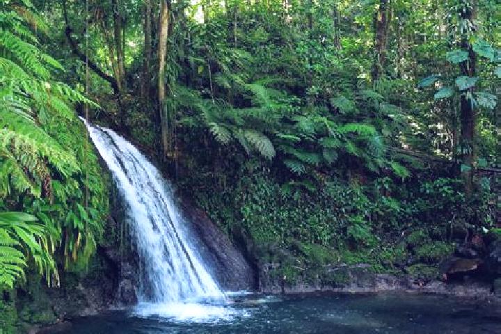 escort Basse-Terre