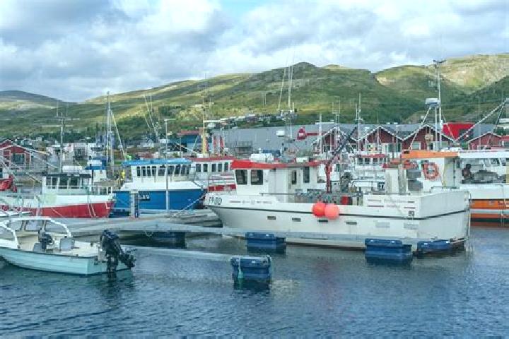 escort Batsfjord