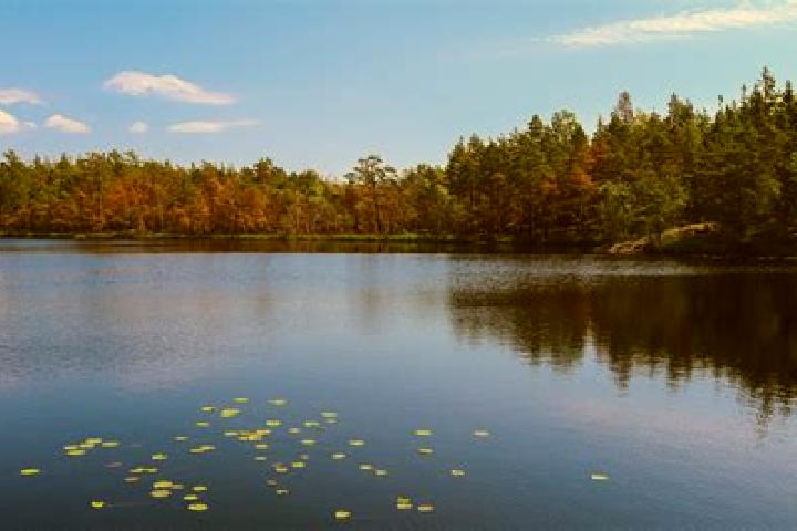 escort Battle Lake