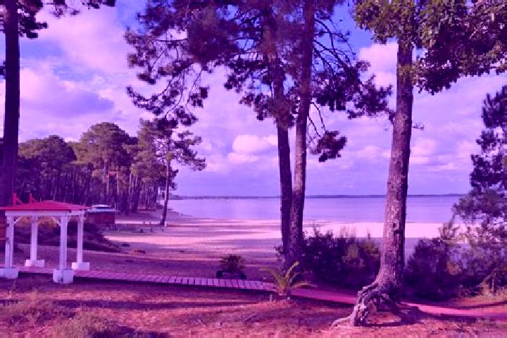 escort Bayon-sur-Gironde