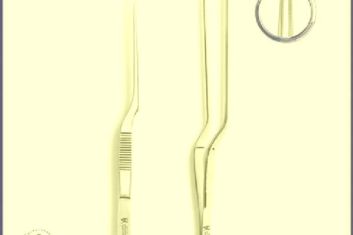 escort Bayonet Head