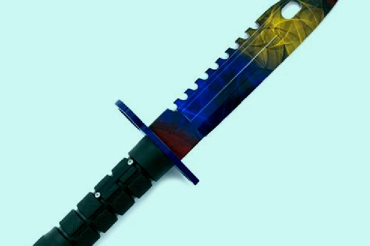 escort Bayonet Point