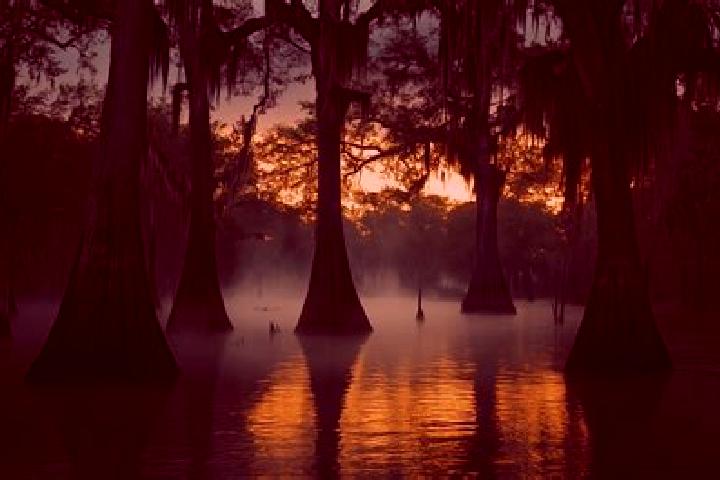 escort Bayou Goula