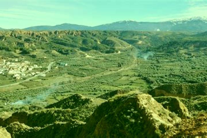 escort Beas de Guadix