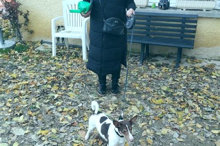 escort Beaurepaire-en-Bresse